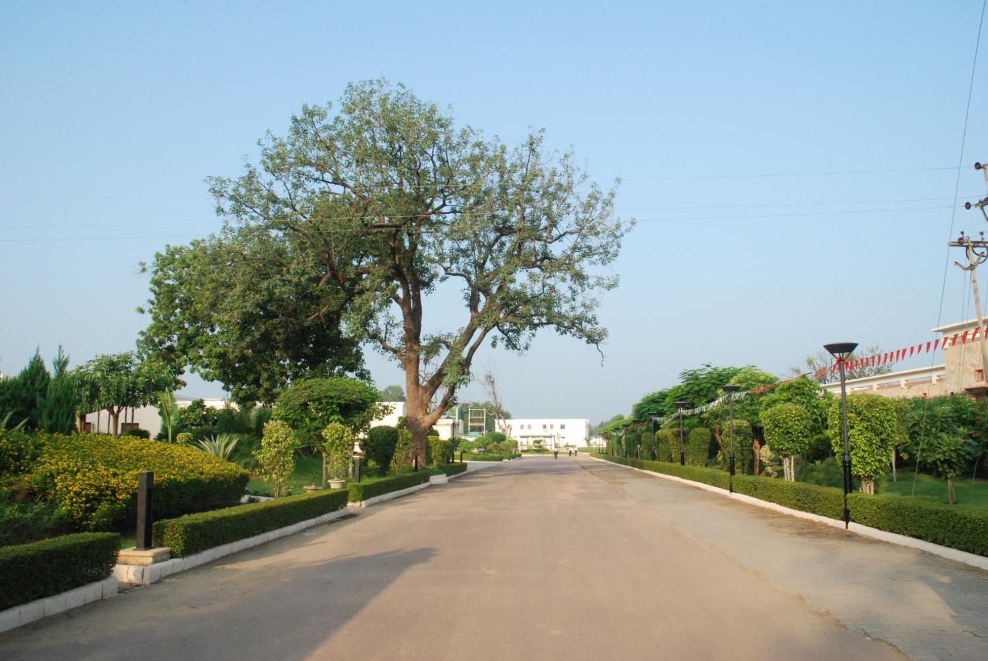 The Lalit Temple View Hotel Khajurāho Exterior photo
